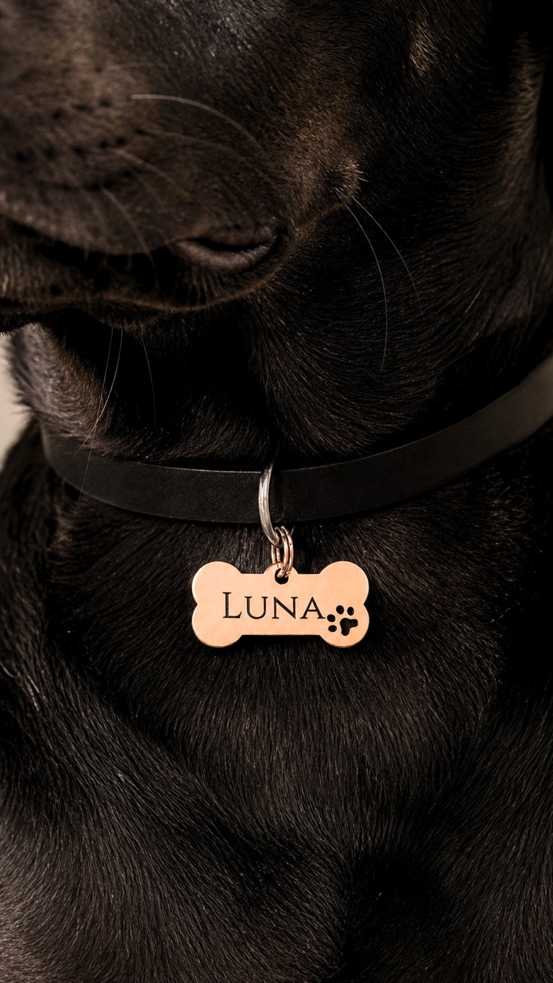 Personalisierte Hundemarke